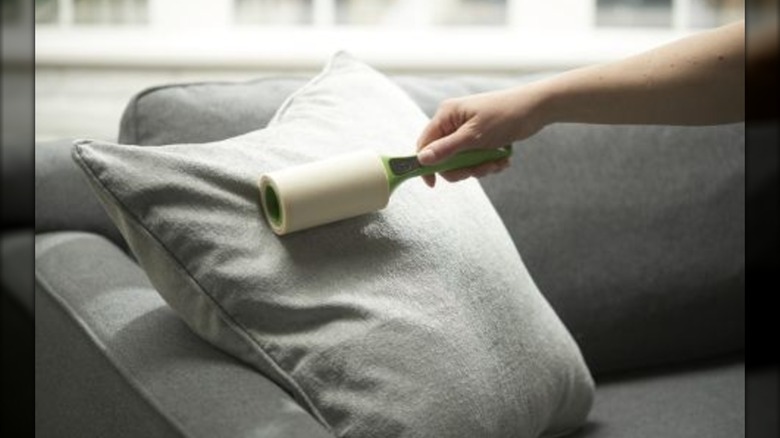 person using Evercare lint roller to clean couch cushion