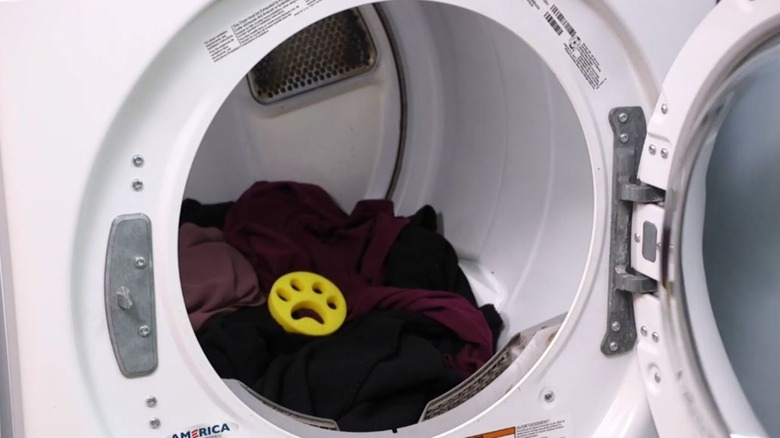 FurZapper sitting in dryer on top of clothes