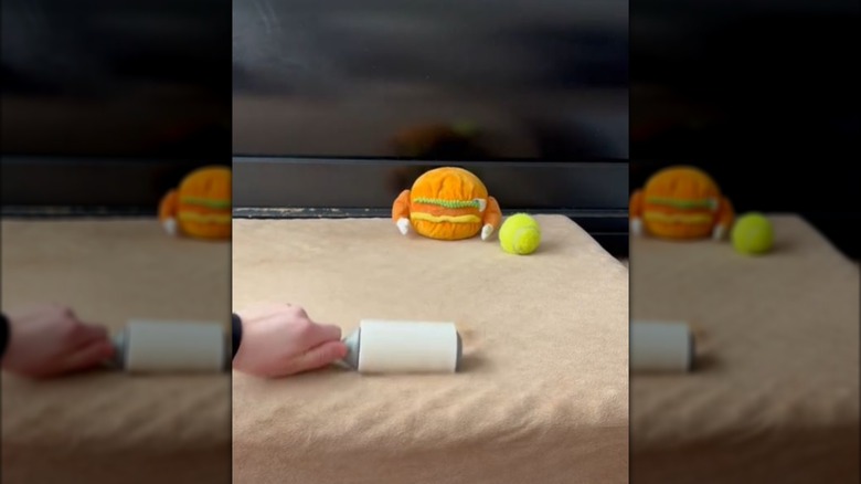 person using Scotch-Brite roller to remove fur from dog bed