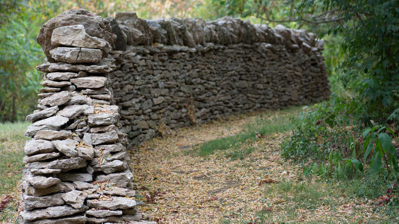 A dry-stack stone wall built with river rocks next to a forest