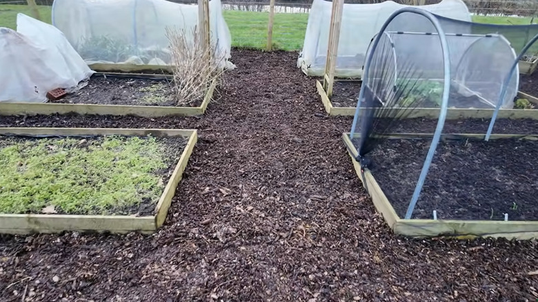 Mulch pathways through garden beds