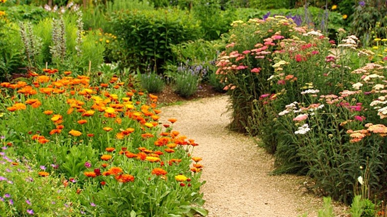 garden path through an herb and flower garden