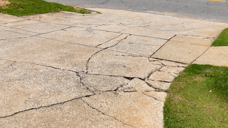 A cracked concrete driveway that needs to be repaired.