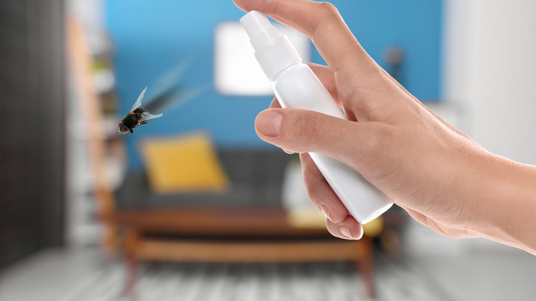 Hand holding spray bottle pointed at fly with blurry living room scene in background