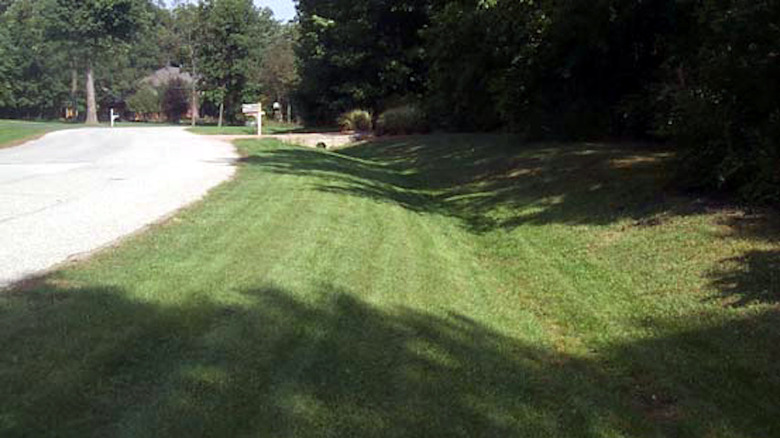 Puddle of water in a swale in the lawn