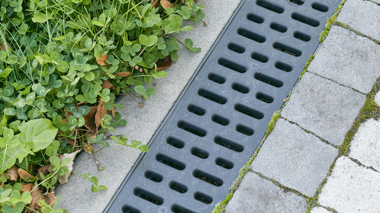 Grate over the top of a trench drain