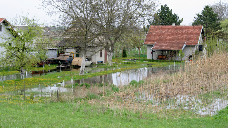 Flooded area near a home and barn