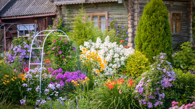 Colorful cottage garden in front of log cabin