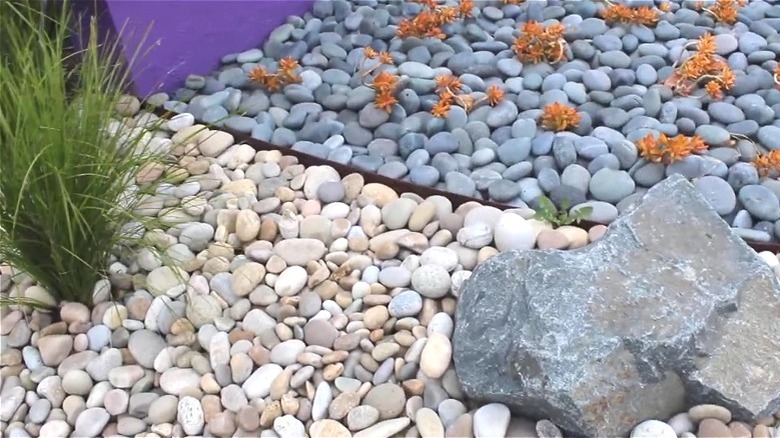 Gray smooth pebble stones and buff Mexican beach pebbles in a planting border.