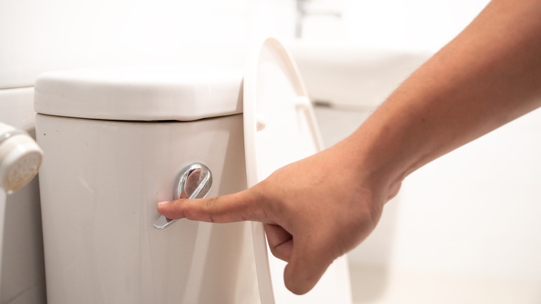 A person flushing a toilet
