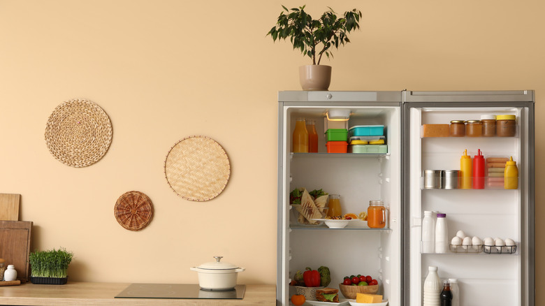 A top of the fridge that's tidy with a plant displayed on top