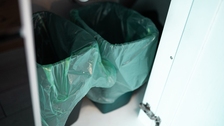 Two trash cans in the bottom of a closet
