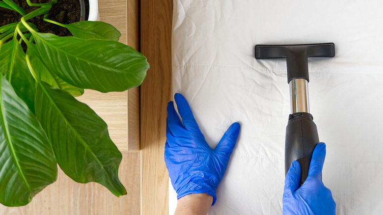 Cleaning a mattress