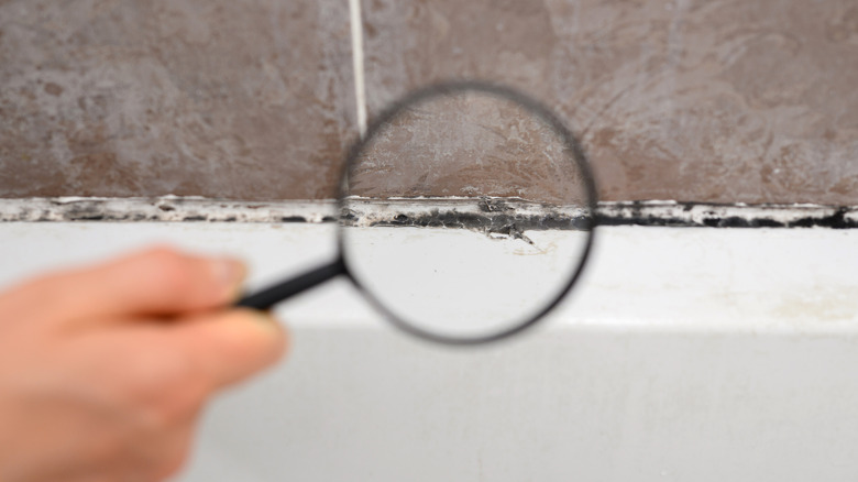 magnifying lens highlighting moldy shower caulk