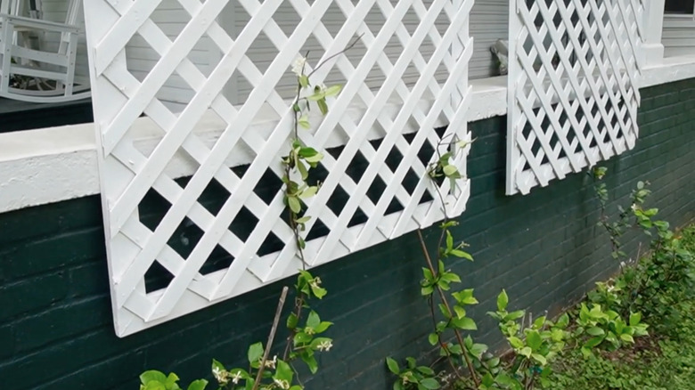 DIY trellis privacy screen deck