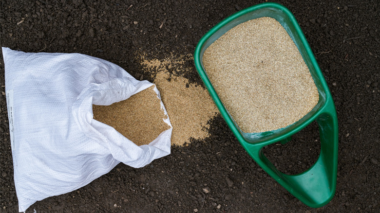 A green container and a white sack are full of grass seeds.