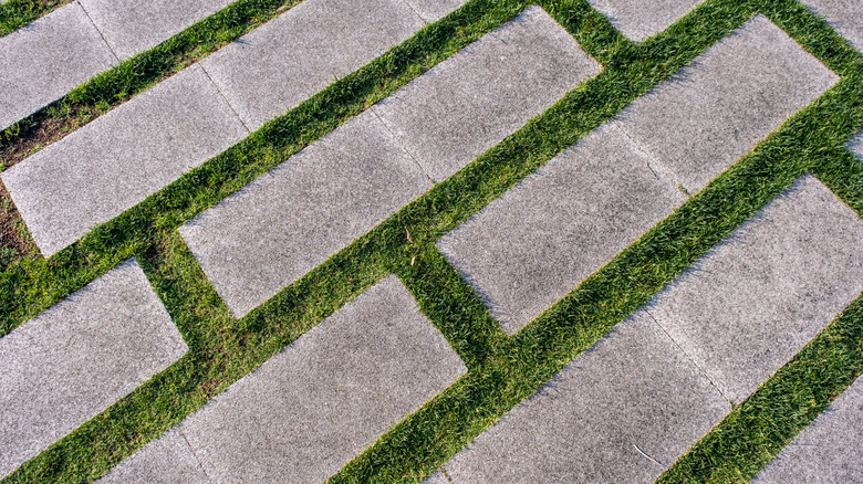 Rectangular concrete pavers with grass in between