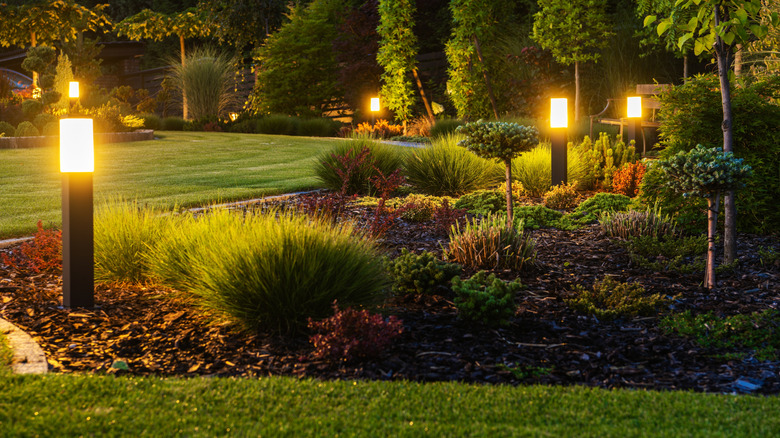 Lights in a garden lit up at night