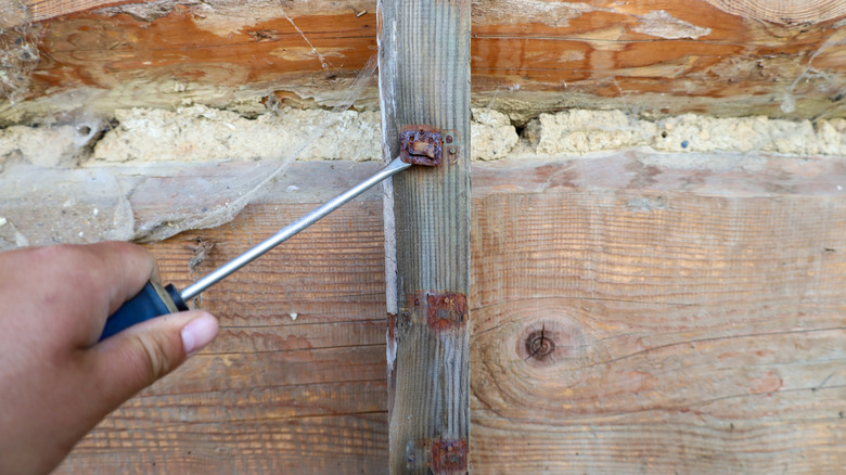 Someone trying to remove rusted bolts from a piece of wood.