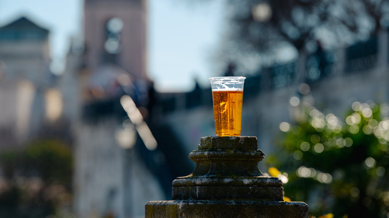 beer in plastic cup ready to bury in garden