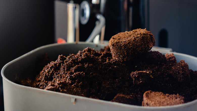 Coffee grounds