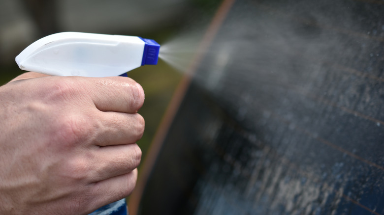 person spraying mixture