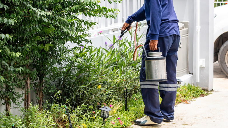 person applying anti-termite spray