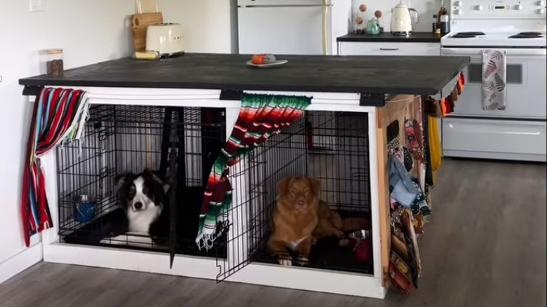 Two dogs relax in DIY kennels tucked under a kitchen island.