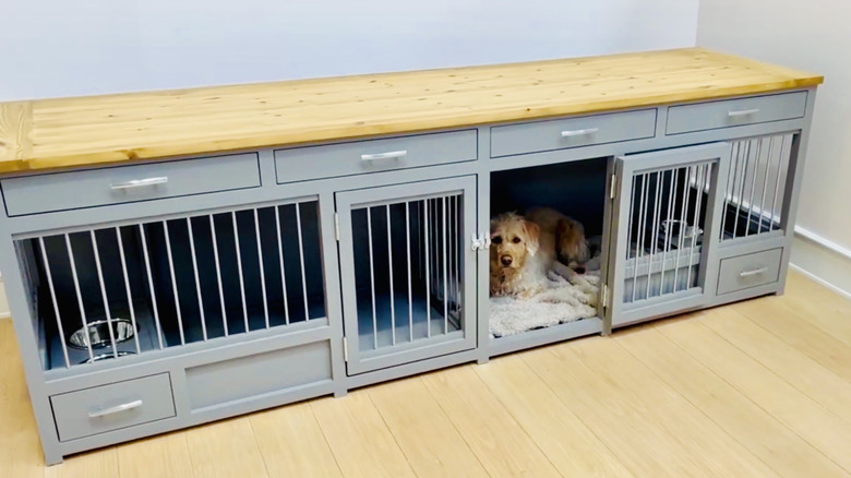 Dog looks out of 2-dog kennel that doubles as a console table