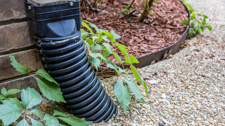 close up of a black underground downspout adapter