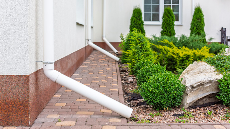 white PVC downspouts blocking sidewalk and flowing into garden