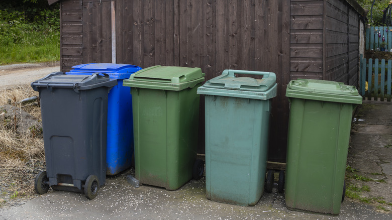 Trash cans lined up in front of a garage