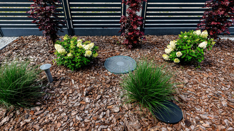 Septic tank cover in the ground surrounded by wood bark, flowers, and plants
