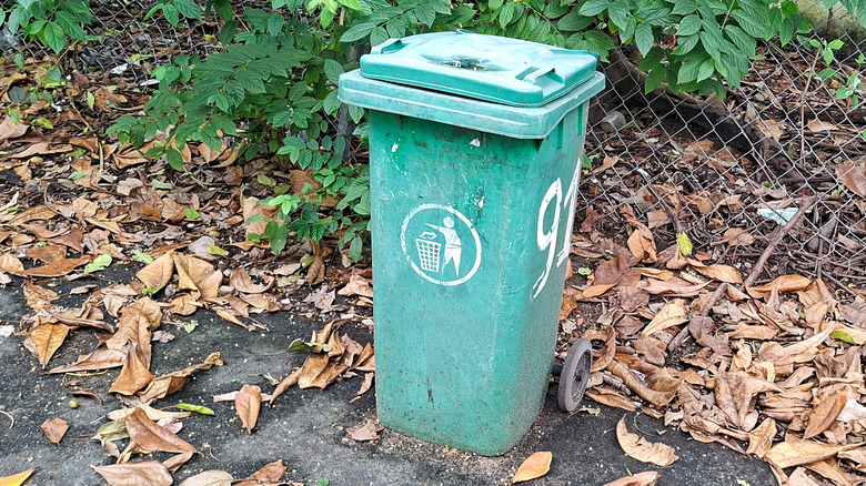 The eyesore of a utility bin in an urban garden