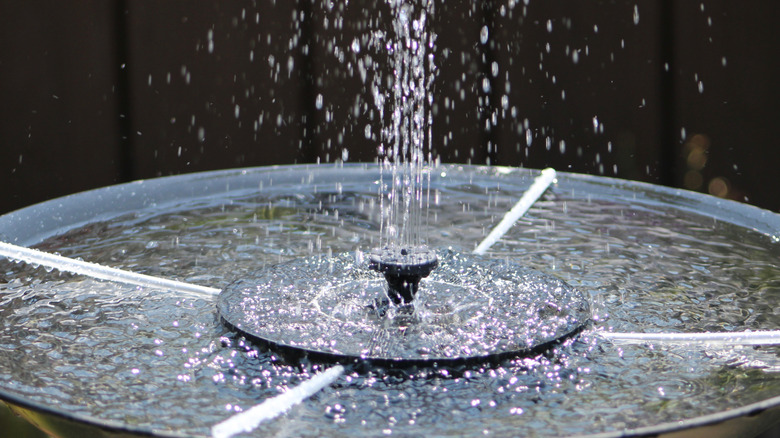 A solar water fountain spitting water into the air while sitting on top of a bird bath