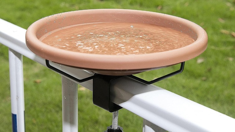 The Hanizi Bird Bath clamped onto a railing with water inside
