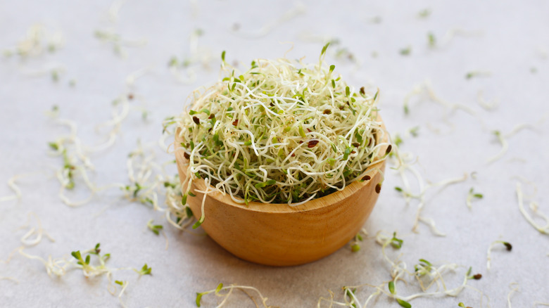 Alfalfa sprouted seeds in a wooden bowl on a table