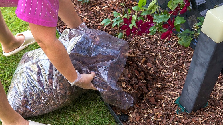 Person filling the empty spots in her flower bed with mulch