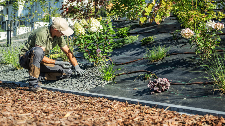 A gardener spreading stone mulch over a garden bed covered in weed fabric.