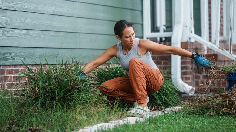 A woman clears weeds from an overgrown garden bed along the side of a house.