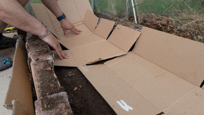 Man putting cardboard in a raised bed