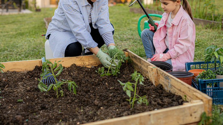 Woman and child tending a raised garden bed