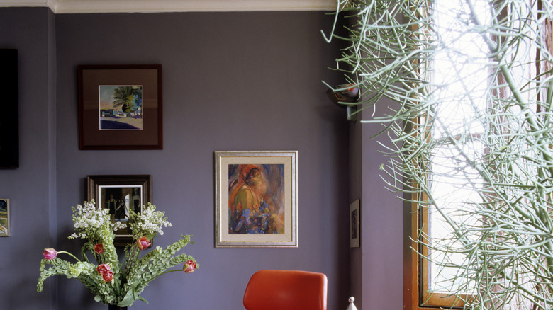 Sunny room with lavender gray walls.