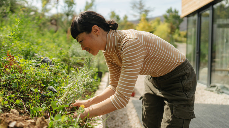 A woman tends to a garden full of weeds and other plants in her backyard.