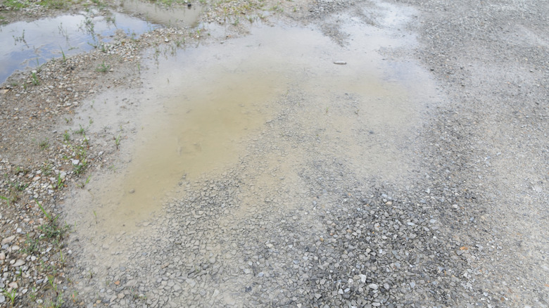 A gravel driveway with large puddles of water and mud.