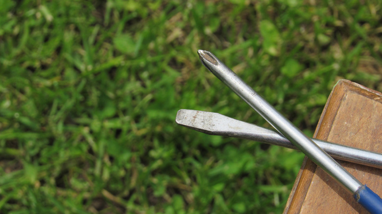 screwdrivers in front of grass