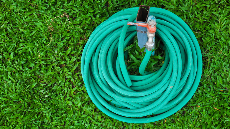 A green garden hose wrapped up on a lawn