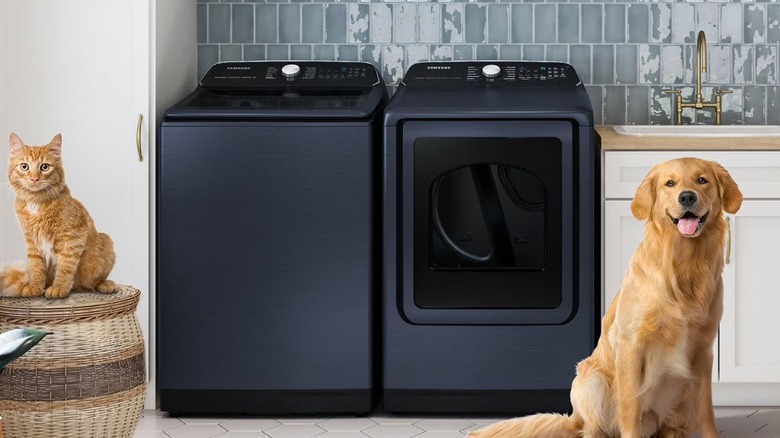A cat and dog sitting on either side of a washer and dryer