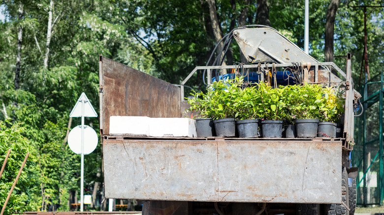 Truck delivering plants