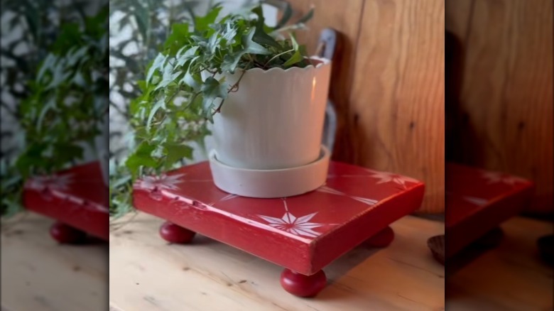 Vine potted houseplant on red wooden stand